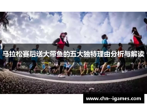 马拉松赛后送大带鱼的五大独特理由分析与解读